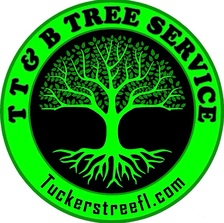 Avatar for TUCKER'S TREE & BOBCAT SERVICE