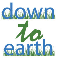 DOWN TO EARTH logo