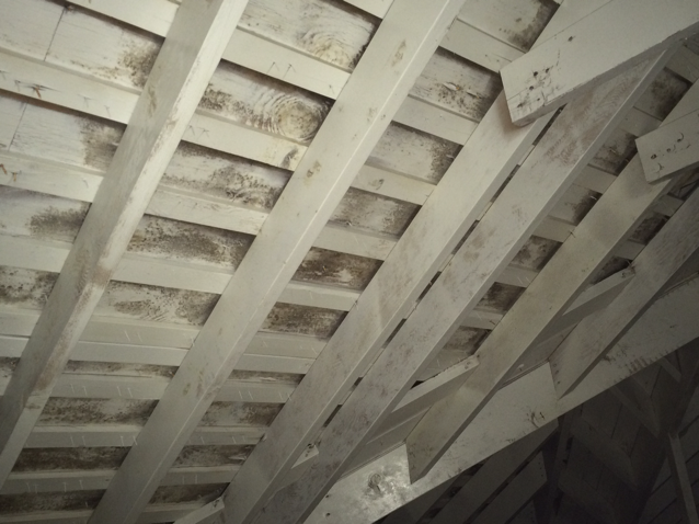MOLD ABATEMENT CONTRACTORS, Inc logo