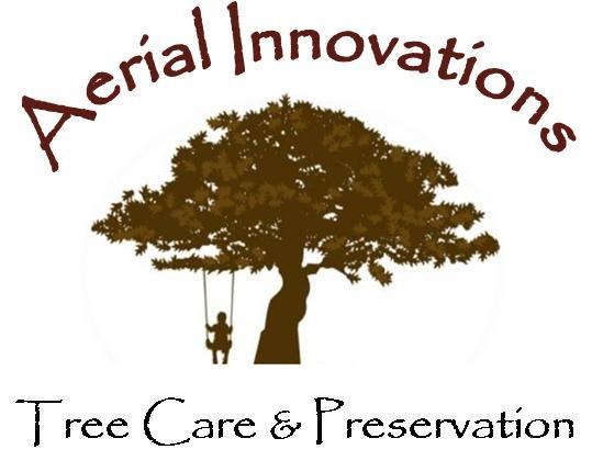Logo for Aerial Innovations Tree Care & Preservation