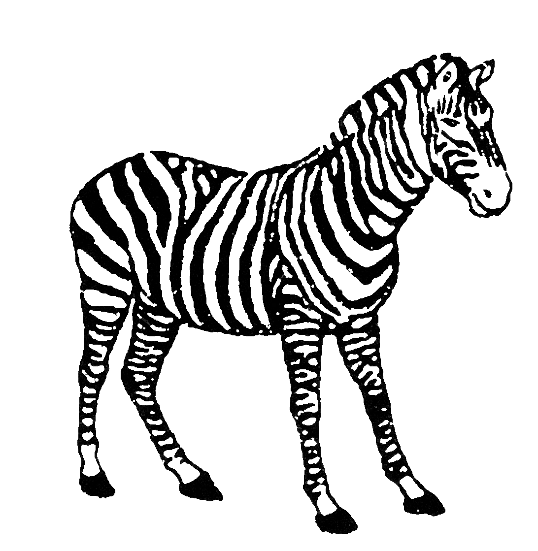 Logo for ZEBRA REMODELING INC