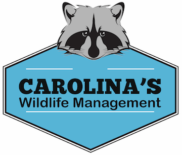 Logo for Carolinas Wildlife Management