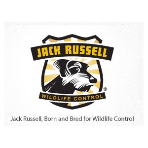Jack Russell Wildlife Control logo