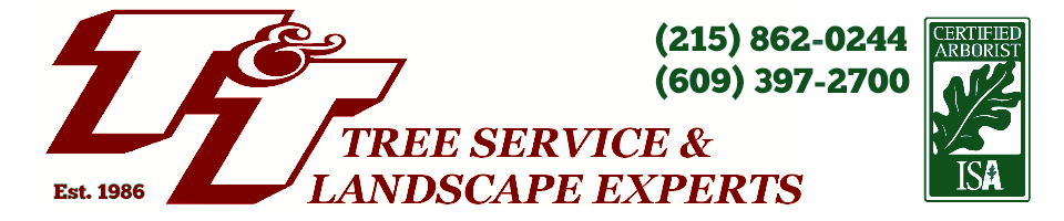 Avatar for T&T Tree Service Inc
