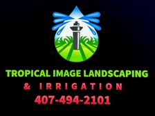 Tropical Image Landscaping & Irrigation logo