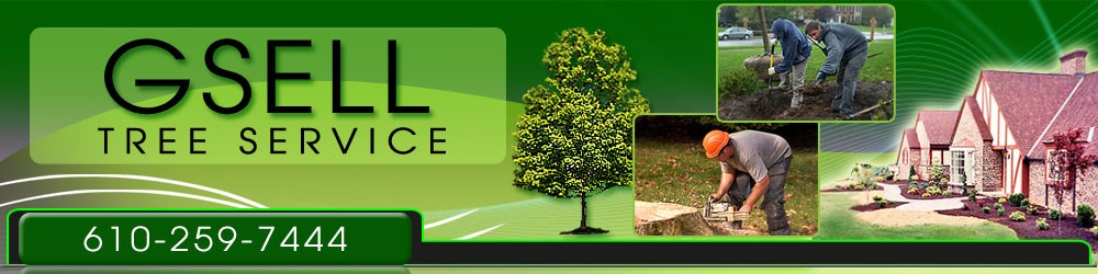 Gsell Tree Service logo