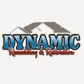 Dynamic Remodeling and Restoration logo