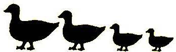 Logo for Chuck's Ducts