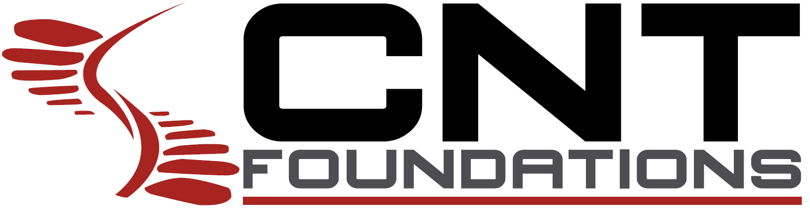 Avatar for CNT Foundations