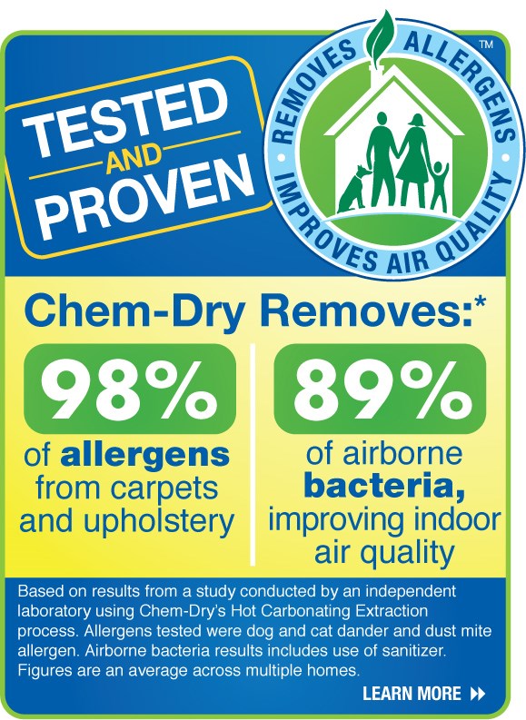 Young's Chem Dry Carpet Cleaning & Water Restoration logo