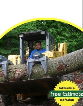 DELGADO'S TREE SVC logo