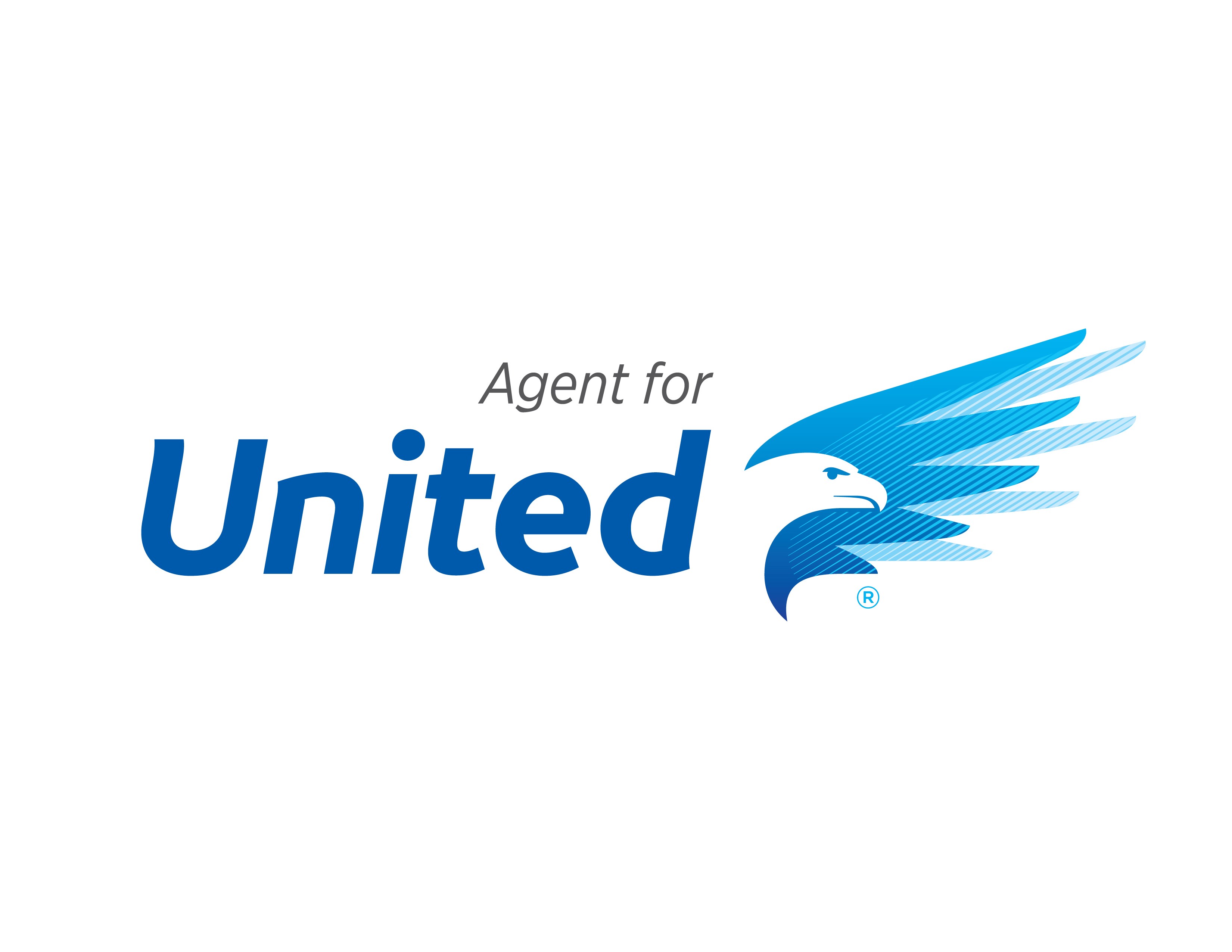 Planes Moving & Storage of Chicago LLC logo