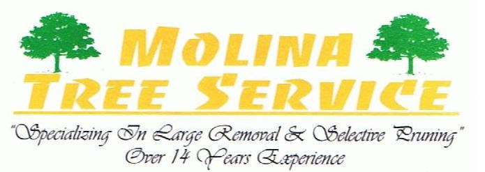 MOLINA TREE SERVICE, LLC logo