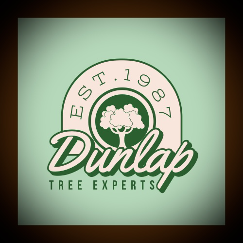 Dunlap Tree Experts logo