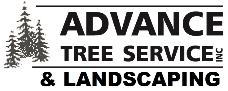 ADVANCE TREE SVC INC logo