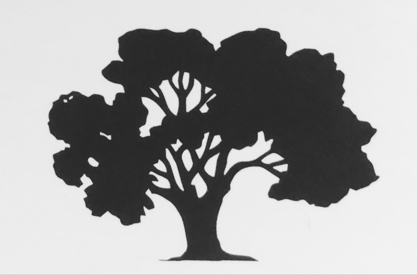 Logo for Magnolia Landscape & Concrete, Inc.