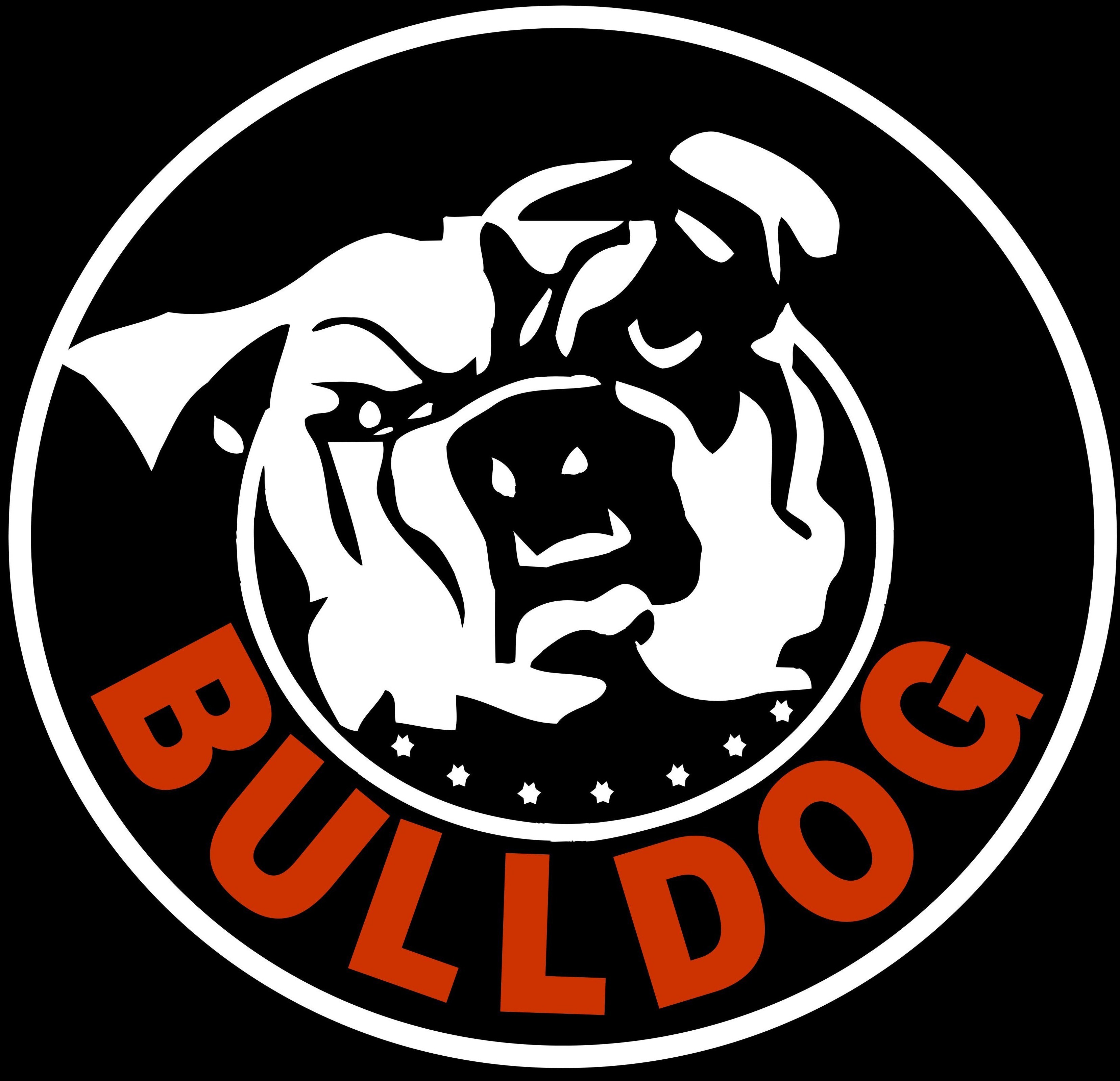Bulldog Security Systems Inc logo