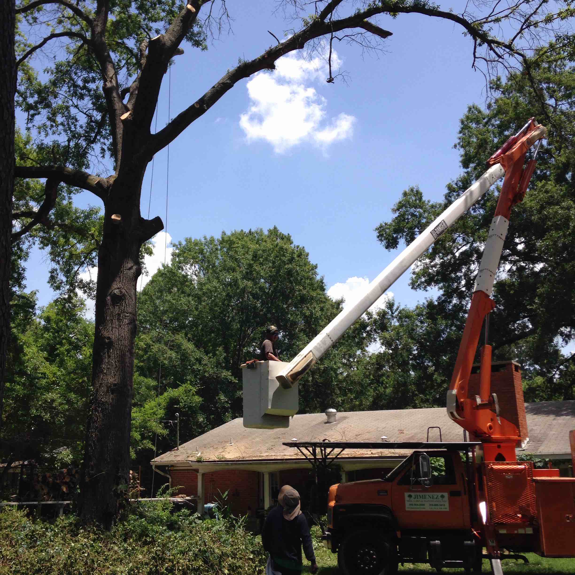 Avatar for Jimenez Tree Lawn & Maintenance Service LLC.