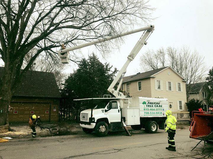 PRECISE TREE CARE, INC logo