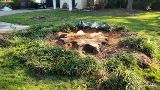 Logo for Asap Stump Grinding
