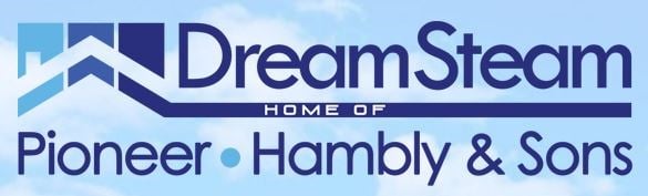 Logo for Dream Steam Carpet Clean