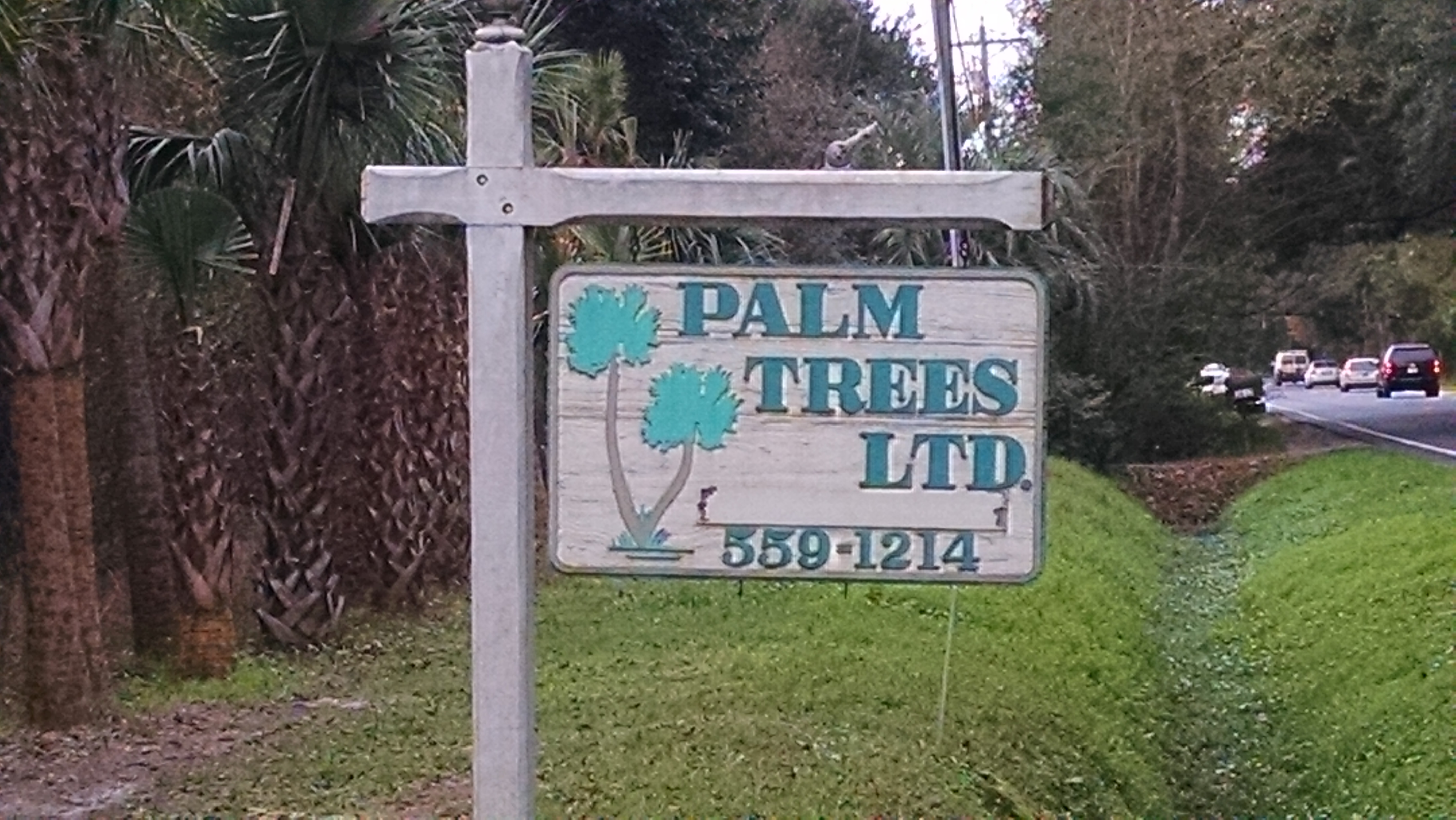 Palm Trees LTD logo