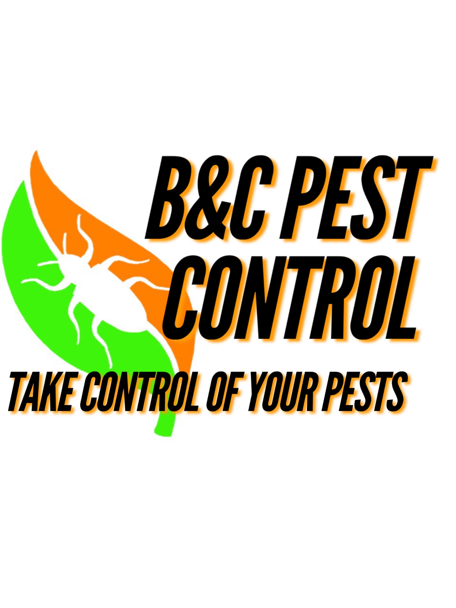 Avatar for B & C PEST CONTROL