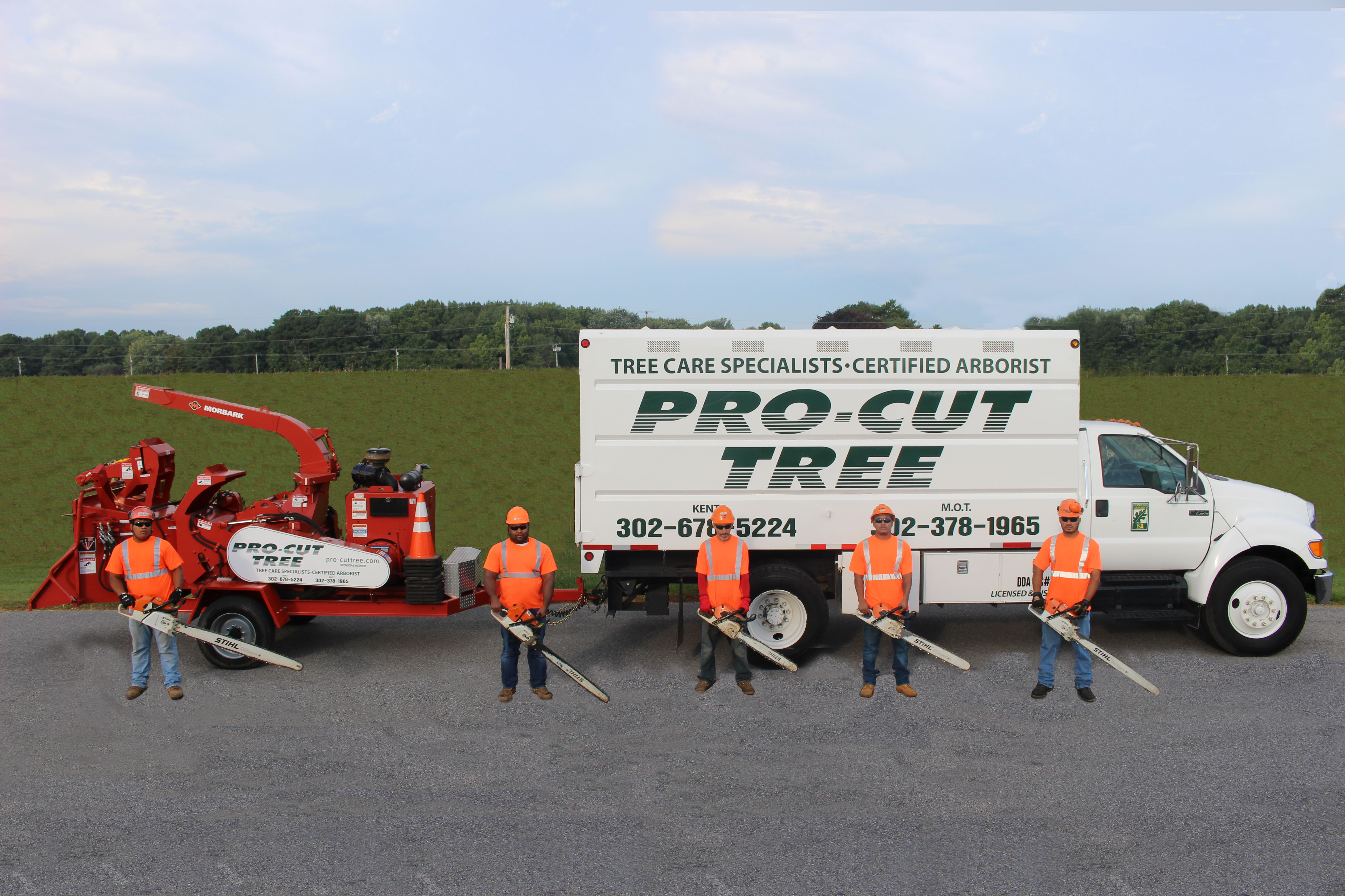 Logo for Pro-Cut Tree