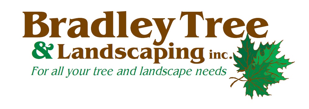 BRADLEY TREE & LANDSCAPING logo