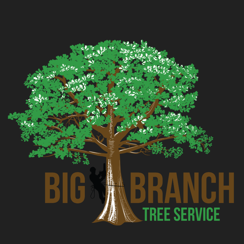 Logo for Big Branch Tree Service