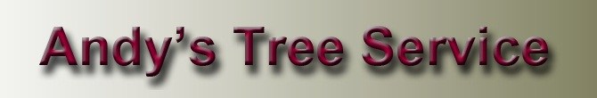 Avatar for Andy's Tree Svc