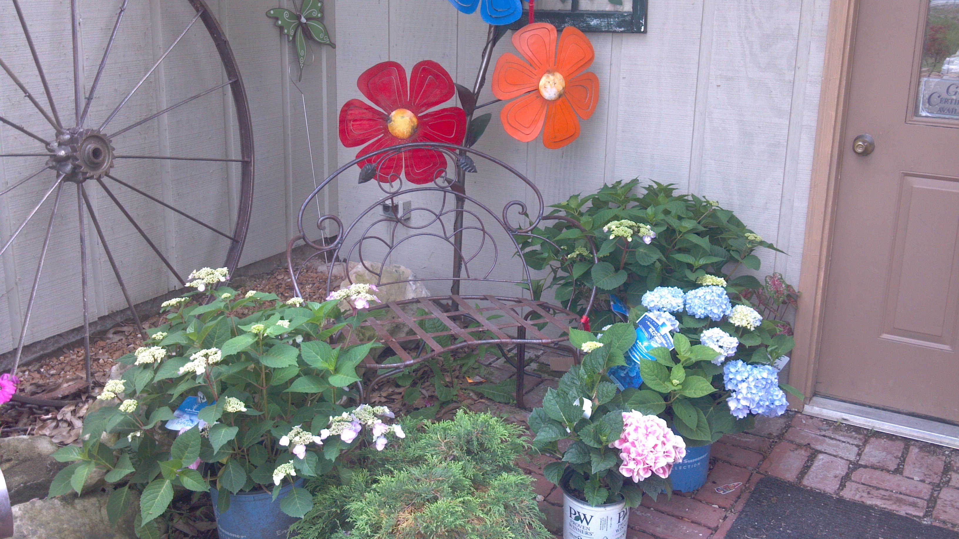 Avatar for Hilltop Gardens Nursery