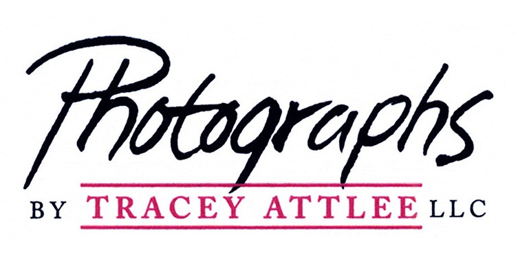 Logo for Tracey Attlee LLC