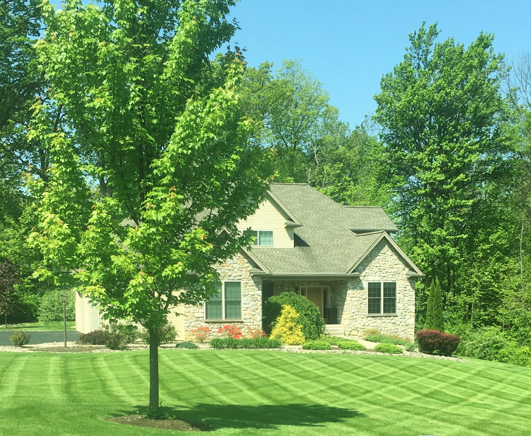 Logo for TOTAL LAWN CARE