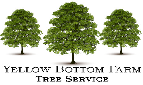 Yellow Bottom Farm Tree Service LLC logo