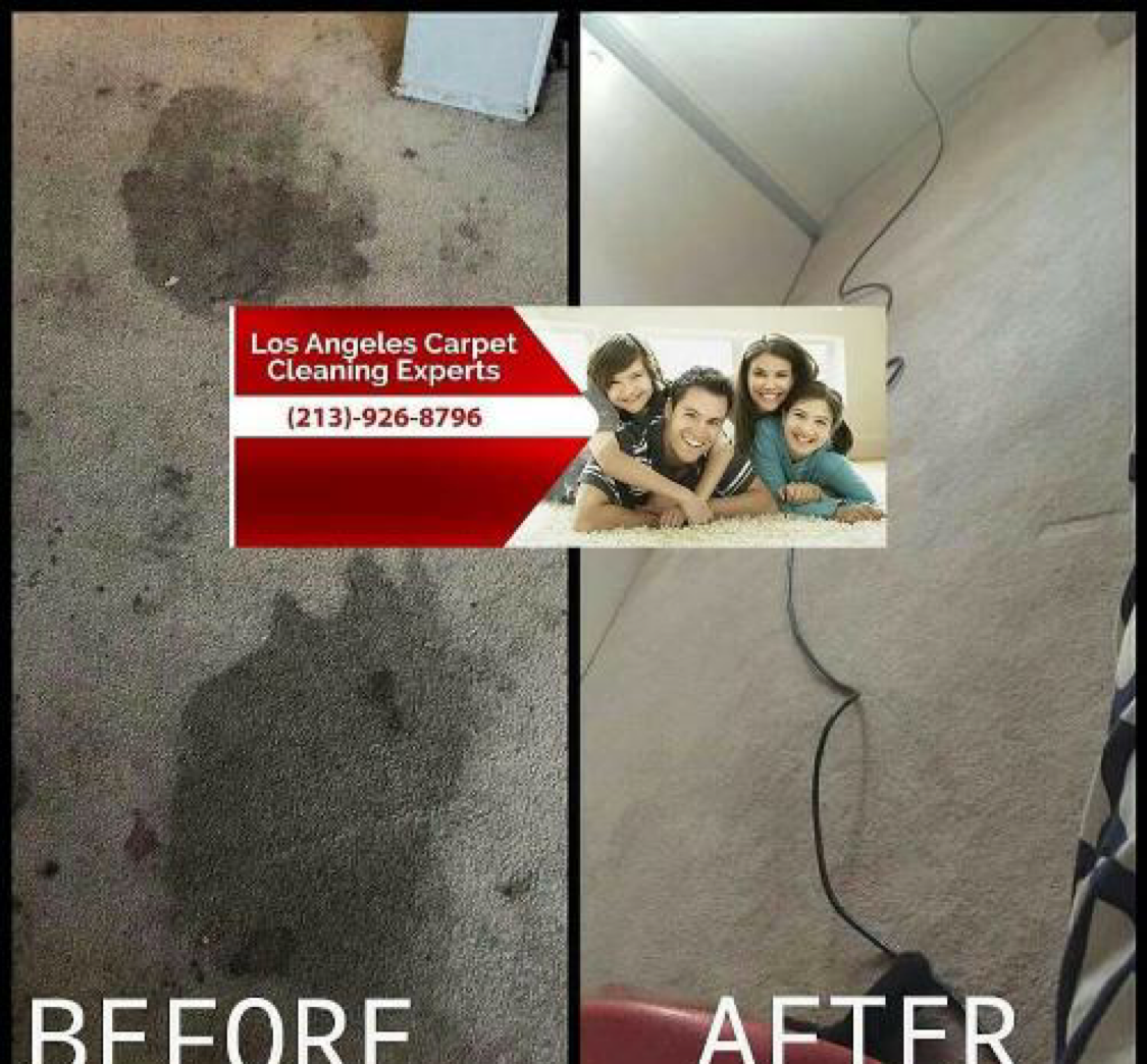 Los Angeles Carpet Cleaning Experts logo