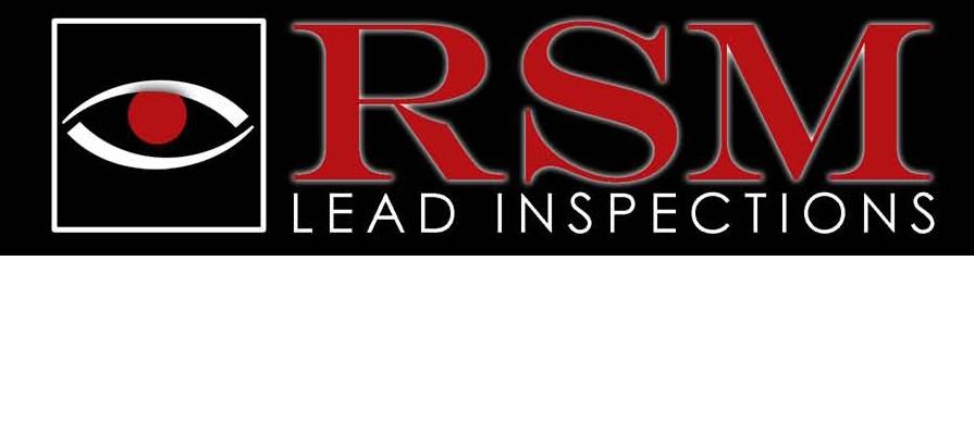 Avatar for RSM Lead Inspection