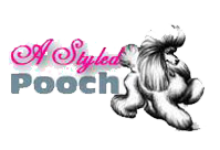 Logo for A Styled Pooch