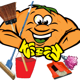 CitrusSolution - East Forsyth logo