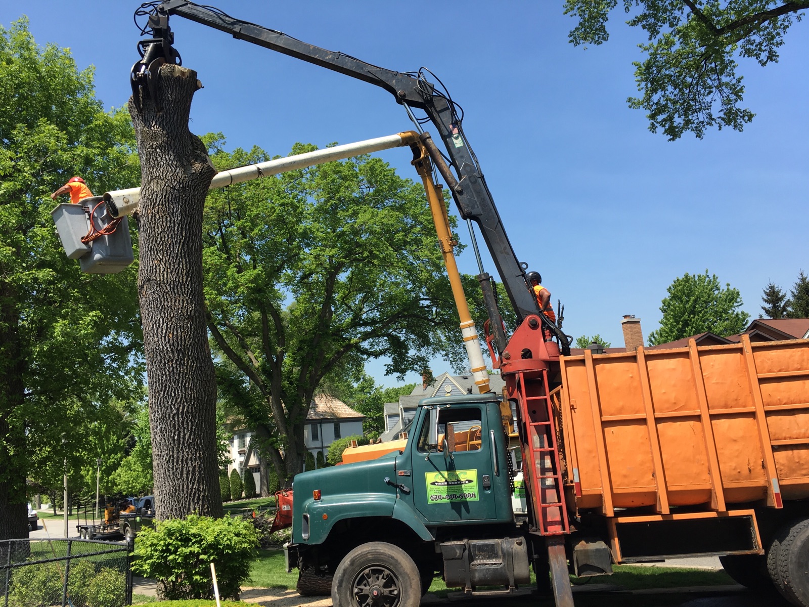 Logo for G&C TreeService
