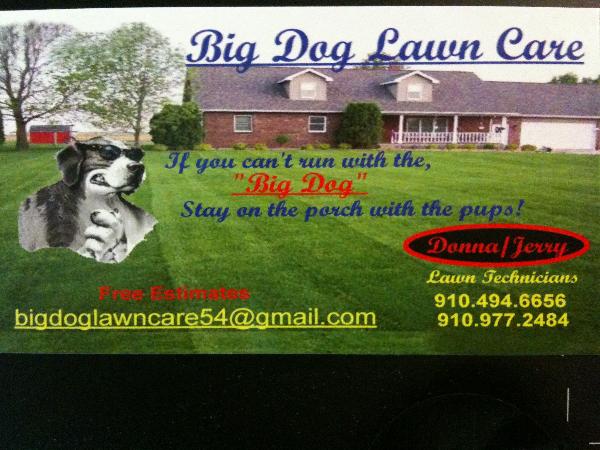 Big Dog Lawn Care logo
