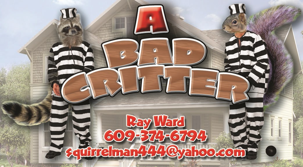 A BAD CRITTER RACCOON & SQUIRREL REMOVAL logo