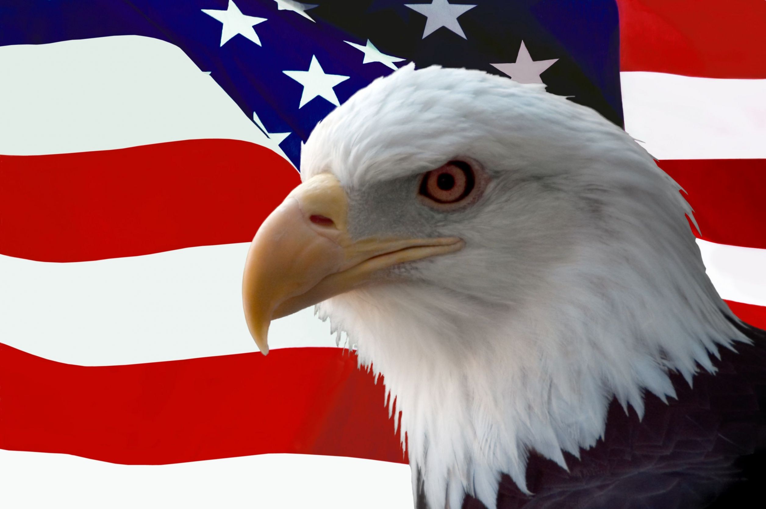 Logo for American Eagle Moving & Transport