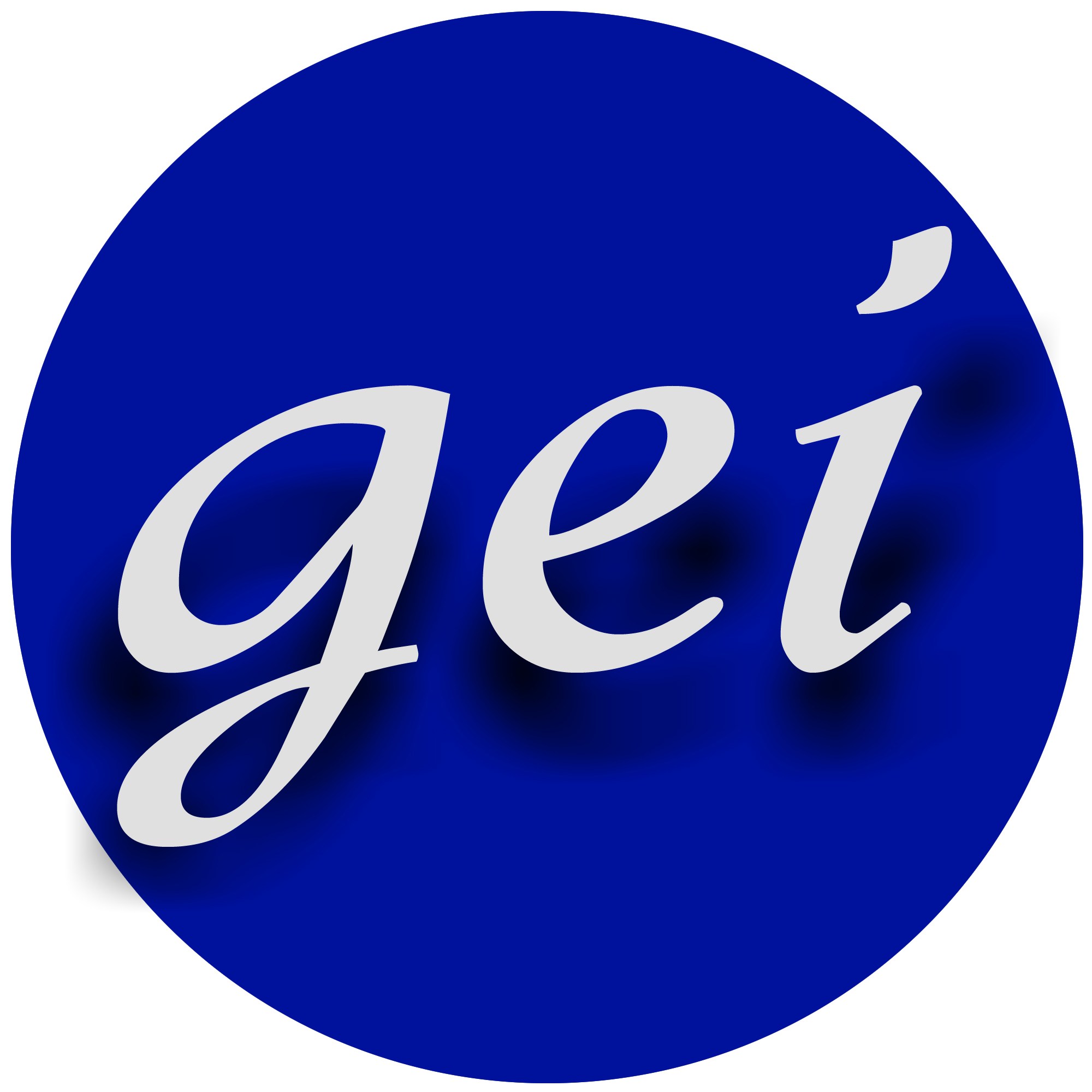 Galaz Electronics Installation logo