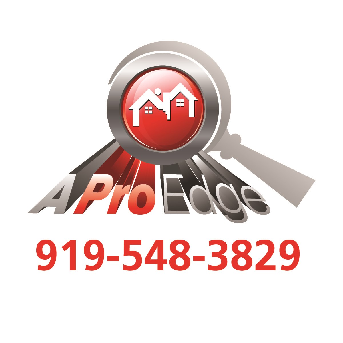 Logo for A Pro Edge Home Inspections Inc