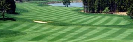 Affordable Irrigation Of Lehigh Llc logo
