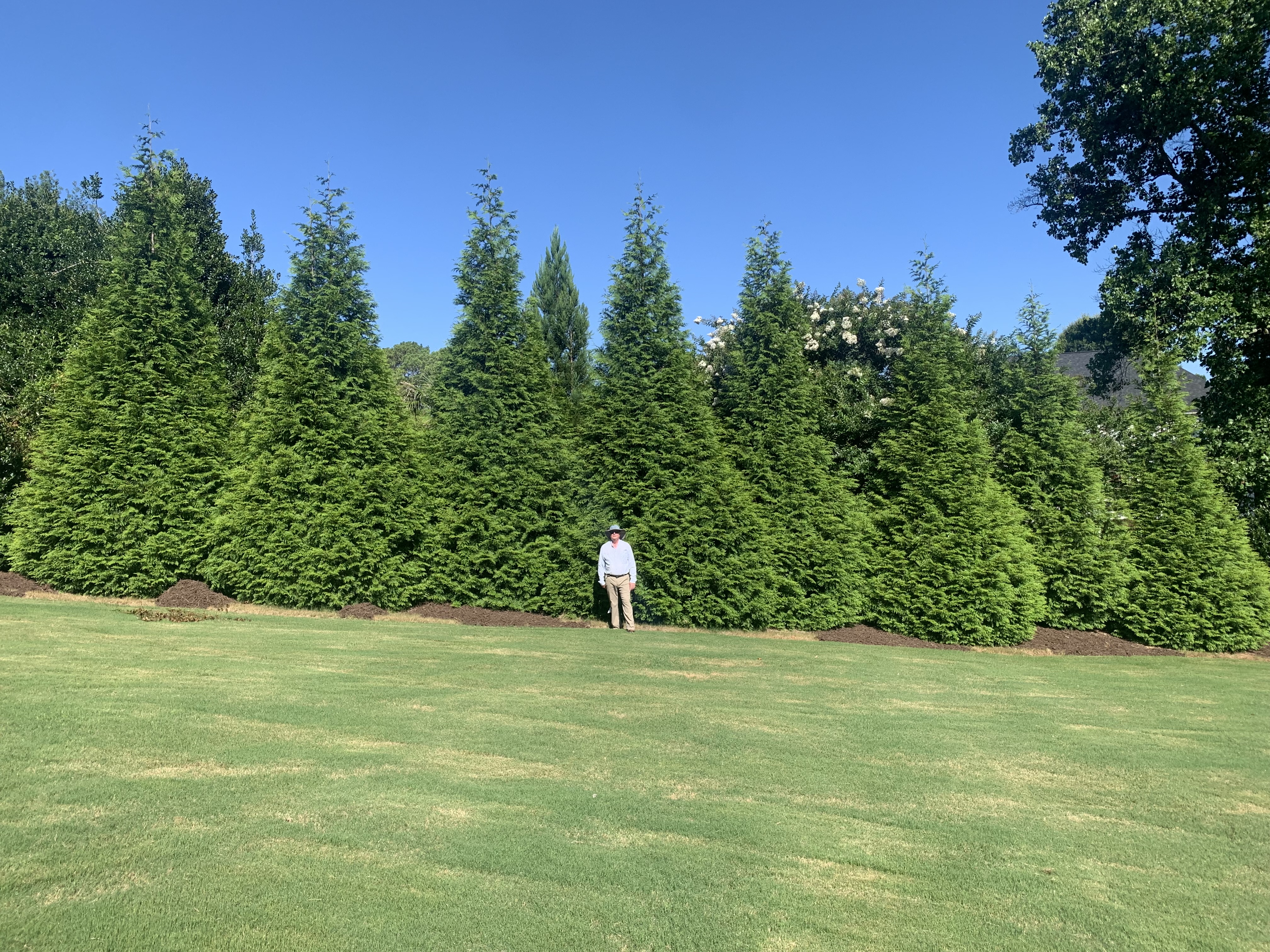 Living Fences of Georgia logo