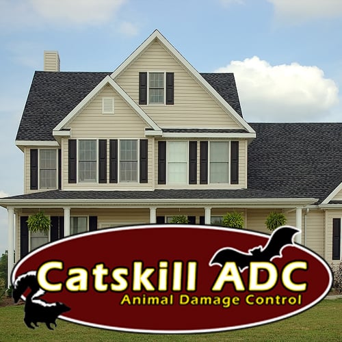 Catskill ADC logo