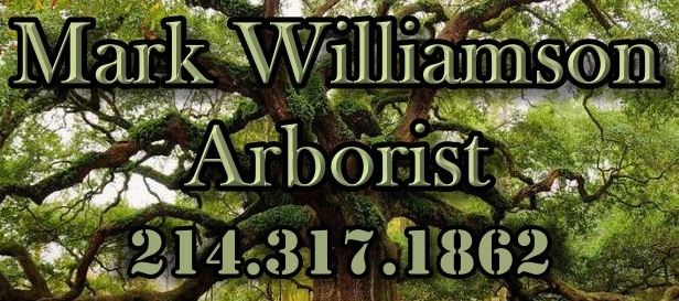 Mark Williamson logo
