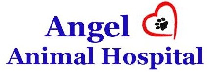 Logo for Angel Animal Hospital